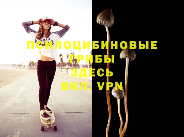 индика Белоозёрский