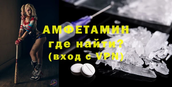 дмт Богданович