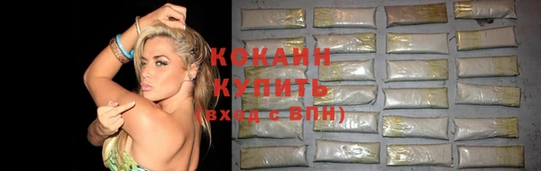 бошки Белокуриха