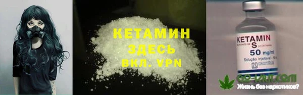 дмт Богданович