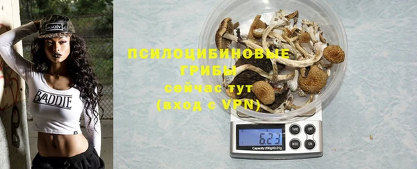 прущая мука Богородицк